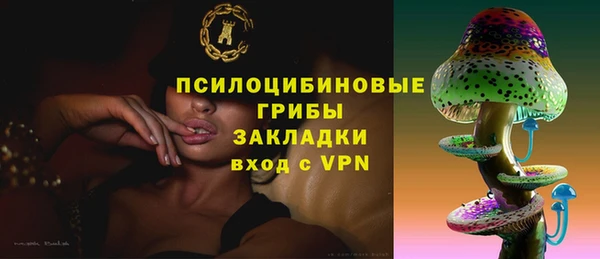 тгк Лагань