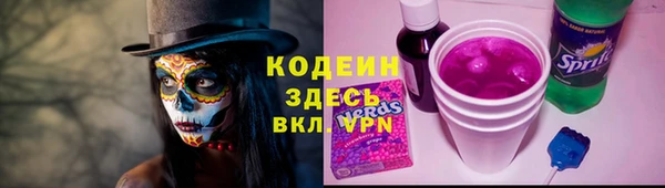 ПСИЛОЦИБИНОВЫЕ ГРИБЫ Лабытнанги