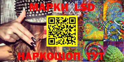 стаф Донской