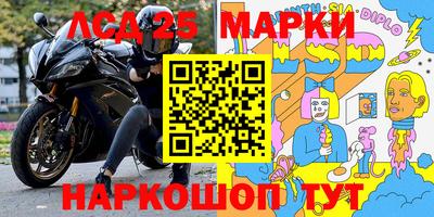 стаф Донской