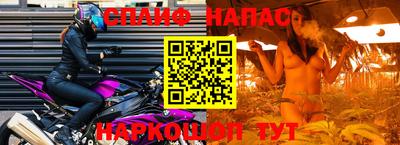 стаф Донской