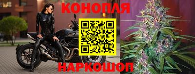 стаф Донской