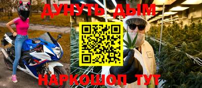 стаф Донской