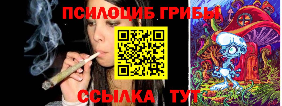 Псилоцибиновые грибы Cubensis  Учалы  Галлюциногенные грибы прущие грибы 